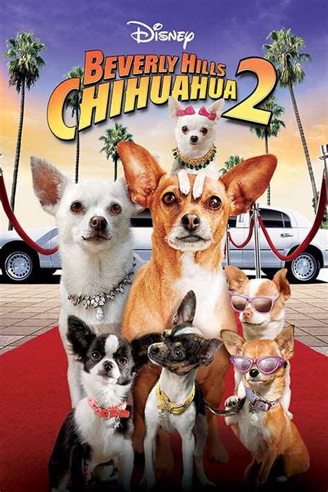 beverly hills chihuahua cast 2|beverly hills chihuahua 1 123movies.